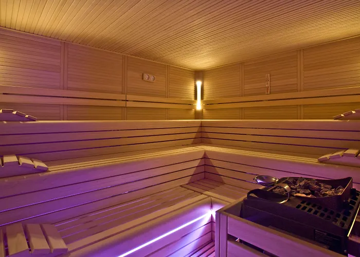 圣乔治酒店 4* 菲乌吉